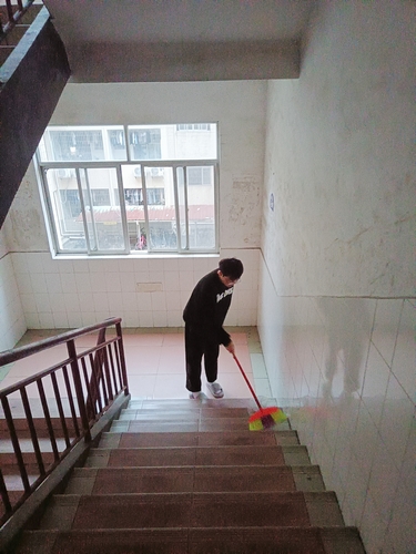 劳动教育实践4