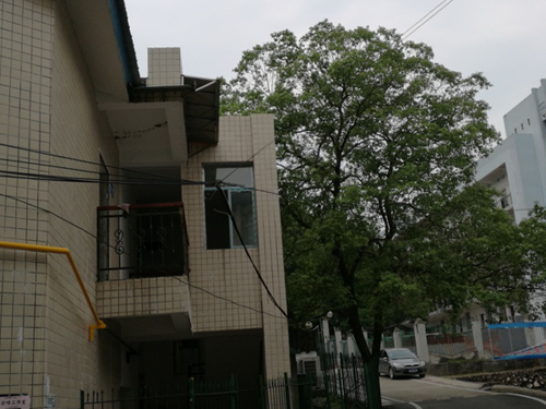 图片3 图片3