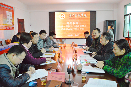 DSC_7978x DSC_7978x