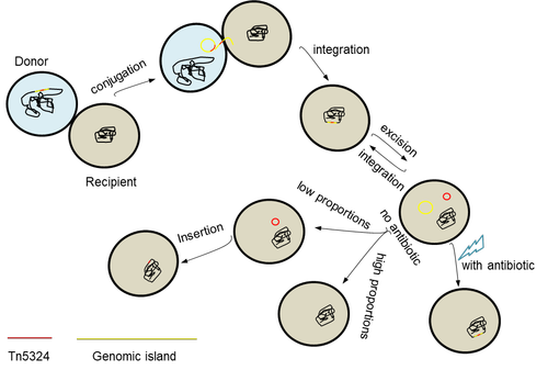图片2