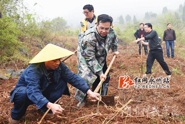 beat365英国官方网站党委书记陈弘与潮水铺村村支书一同种下金槐树苗