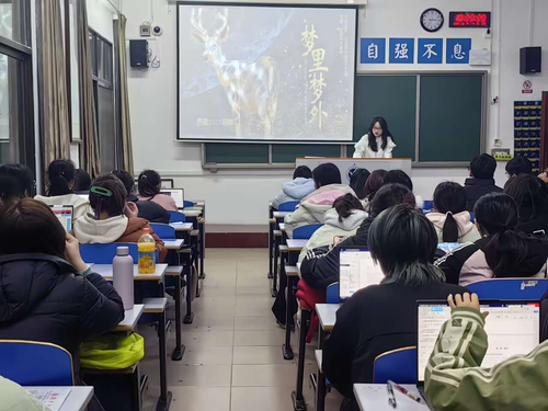 图片5 图片5